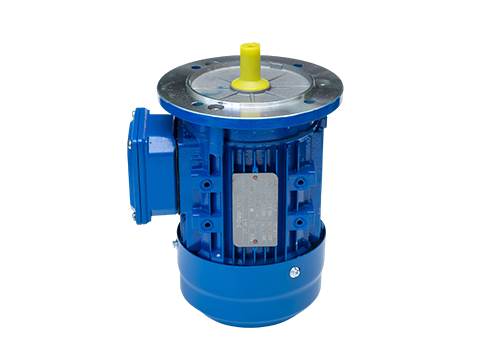 微型定速電機(jī) 微型定速電機(jī)