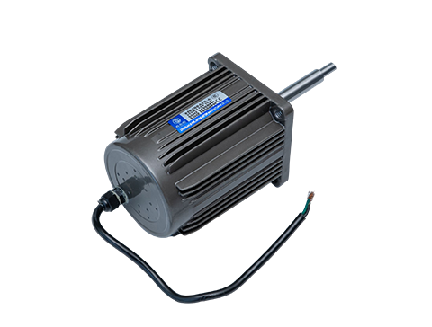 微型定速電機(jī) 微型定速電機(jī)